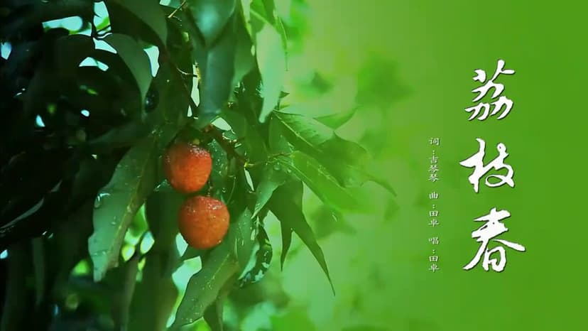 荔枝春